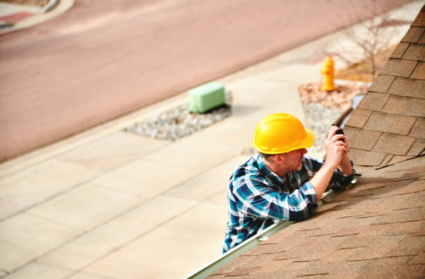 Best Roof Gutter Cleaning  in Langdon, ND
