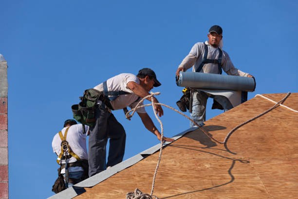 Professional Roofing Contractor in Langdon, ND