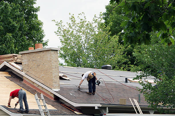 Best Roof Gutter Cleaning  in Langdon, ND