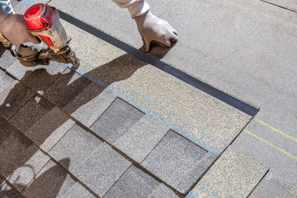 Best Metal Roofing Contractor  in Langdon, ND