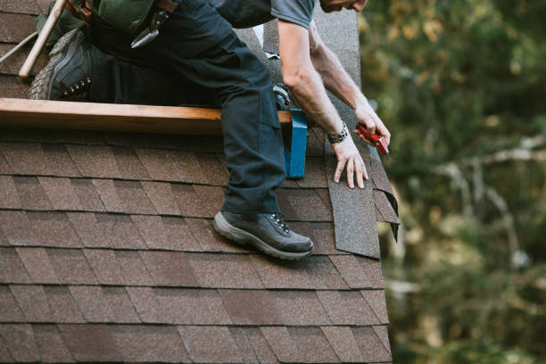 Best Local Roofing Companies  in Langdon, ND