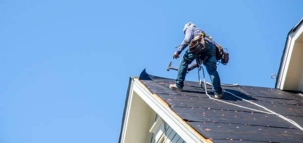 Best Storm Damage Roof Repair  in Langdon, ND