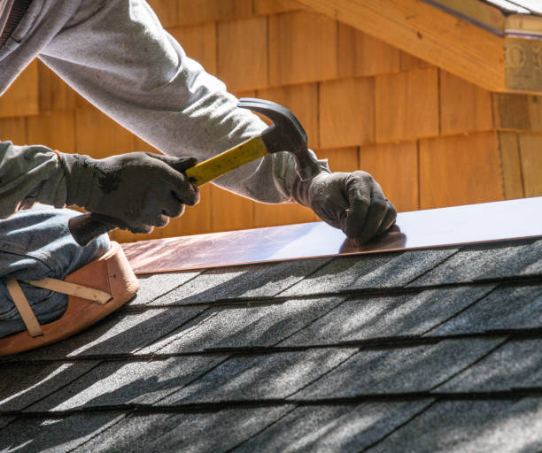 Best Roof Leak Repair  in Langdon, ND